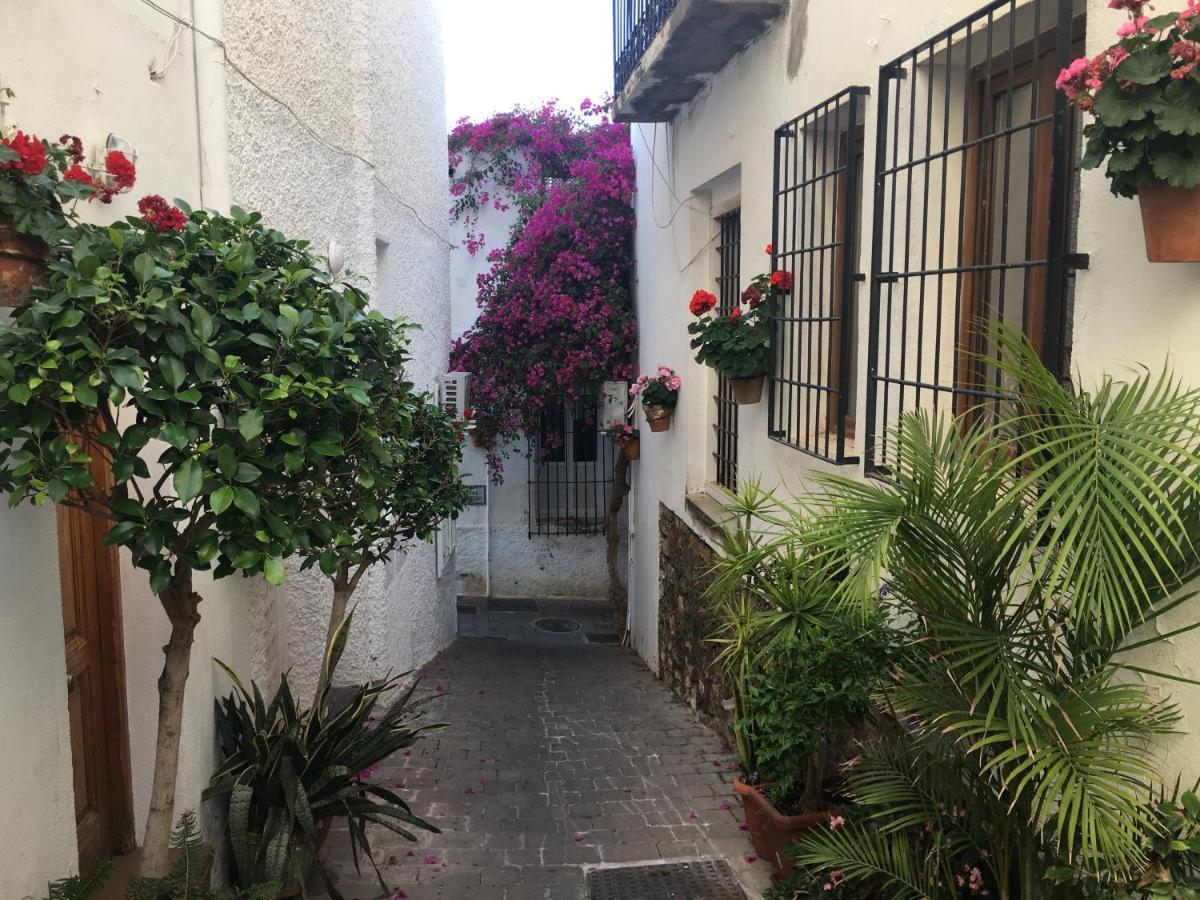 Apartamento Brisas *